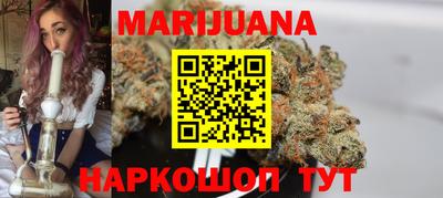 сатива Гай