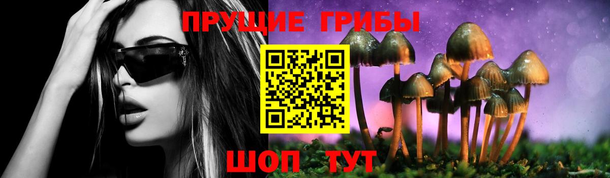 Мурино  Галлюциногенные грибы Magic Shrooms  продажа наркотиков  Псилоцибиновые грибы Magic Shrooms  Вход с VPN 